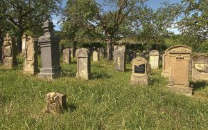 Serene begraafplaats in Doetinchem met historische grafmonumenten en tuinen, een belangrijk cultureel erfgoed