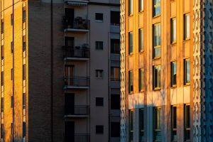 Home Kasseien voegen met cement: professionele voegmortel voor sterke en duurzame bestrating